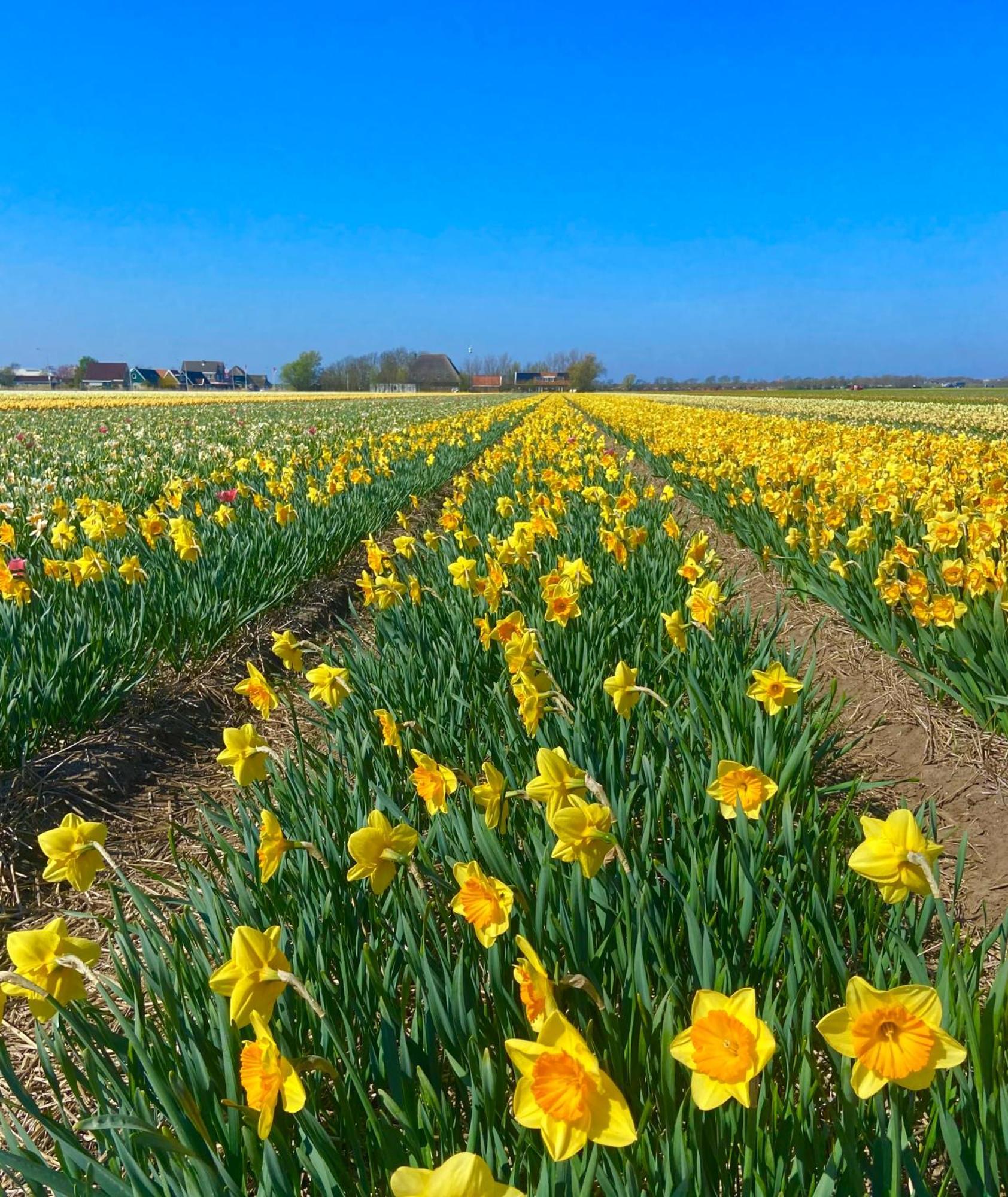 Vila Deining Sint Maartensvlotbrug Exteriér fotografie